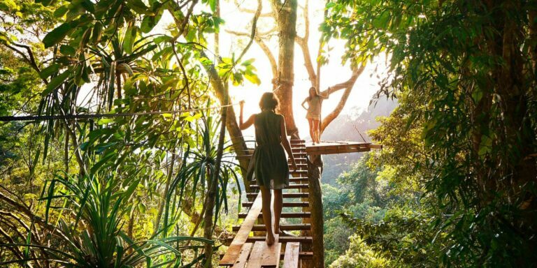 pexels-fmaderebner-238631