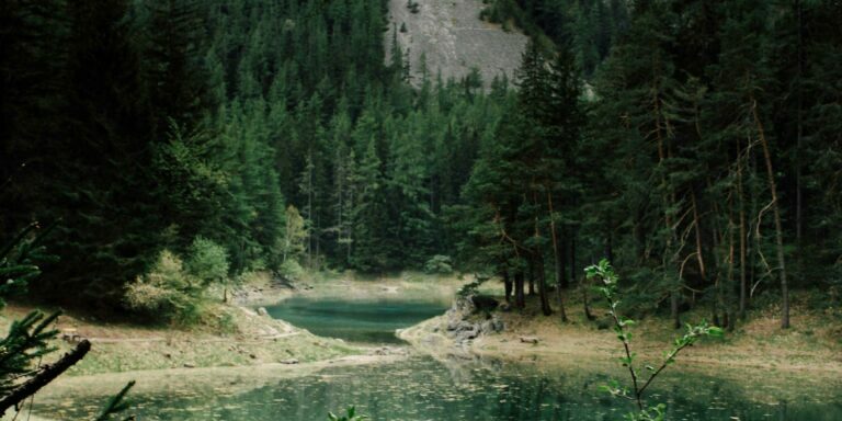 pexels-viola-yvonne-1806446-31729026